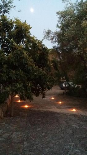 a night view of a park with trees and lights at Agriturismo Tenuta La Siesta in Gallipoli