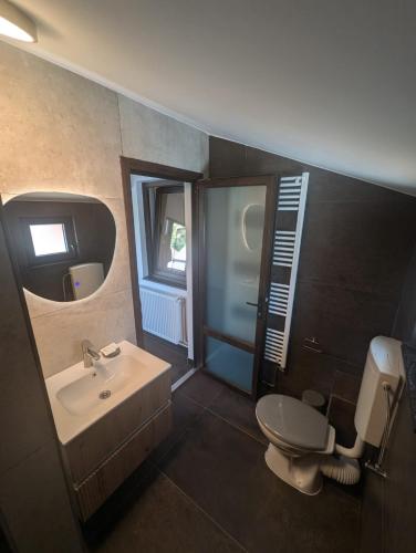 a bathroom with a sink and a toilet and a mirror at Pensiunea Teona in Târgu Ocna