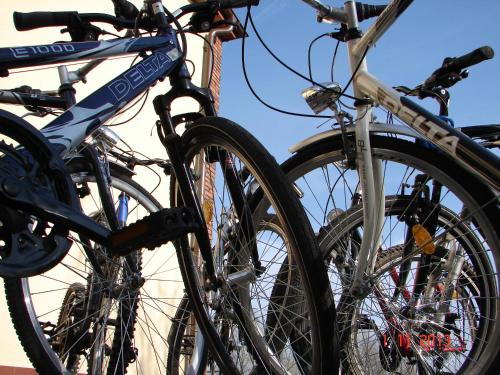 a group of bikes parked next to each other at Gościniec Koćmierzów in Sandomierz