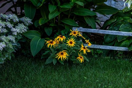 Fotografie z fotogalerie ubytování Guest House Comfort v destinaci Montana