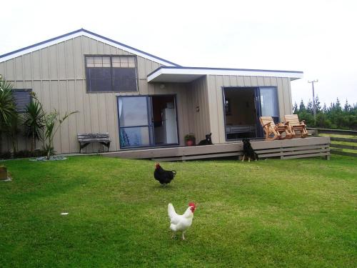 Άλλα ζώα σε αυτό το διαμέρισμα ή στη γύρω περιοχή