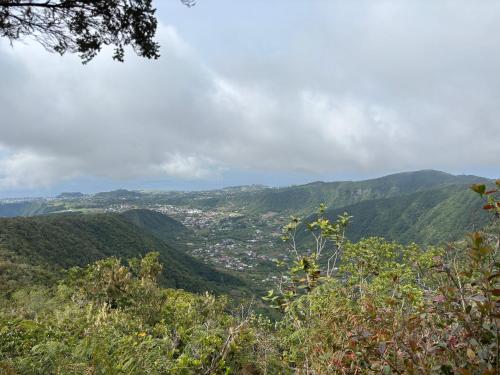 Příroda nedaleko vily