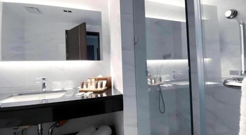 a bathroom with a sink and a shower and a mirror at The Plaza Lodge Baguio in Camp John Hay