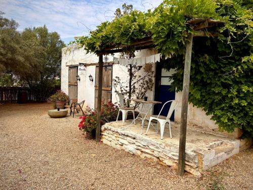 Κήπος έξω από το One Eye Dog