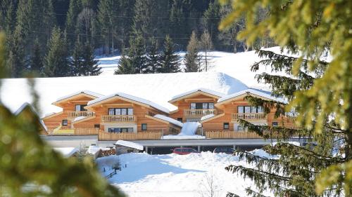 Alpin-Chalet Flachauwinkl