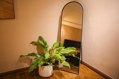 a plant sitting on a table in front of a mirror at Cozy Two-Bedroom Apartment with Balcony in Islamabad