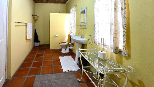 a bathroom with a sink and a toilet at Villa Rosa in Ladismith