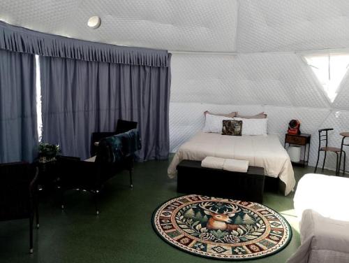 a bedroom with a bed and a rug on the floor at Stunning Off-Grid Dome with Spectacular Views for a Unique Glamping Getaway in Montana in Plains