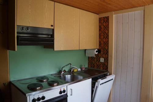 a small kitchen with a stove and a sink at Bühlengasse 6 in Grindelwald