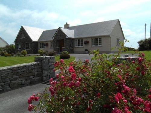 Afbeelding uit fotogalerij van Seafield House B&B in Clifden