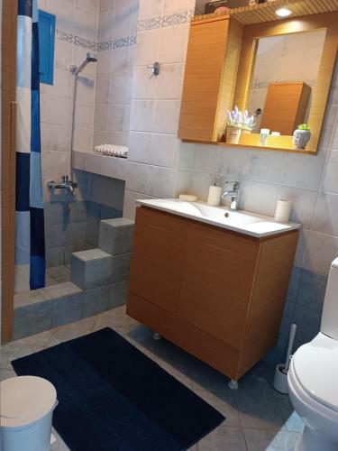 a bathroom with a sink and a shower and a toilet at Eco Haus Milatos in Mesochórion