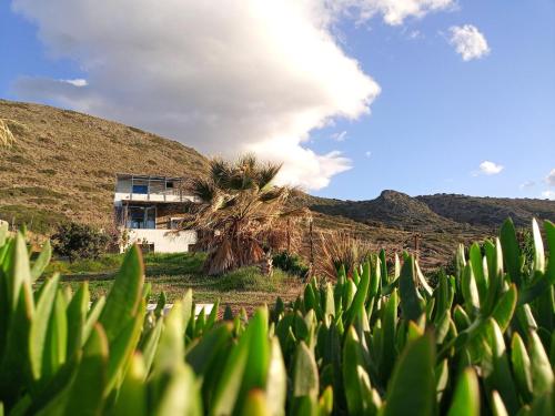 Φυσικό τοπίο κοντά σε αυτό το διαμέρισμα