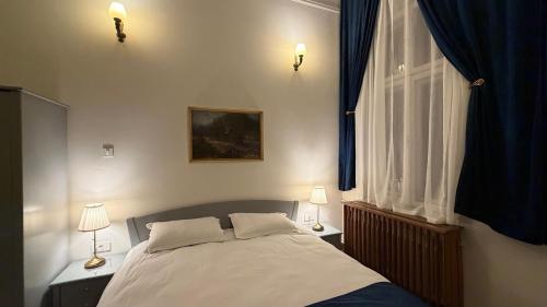 バイレ・ヘルクラネにあるVila Băncii Naționaleのギャラリーの写真