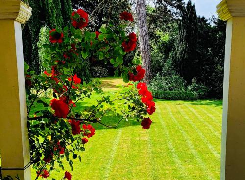 Κήπος έξω από το Altes Forstamt