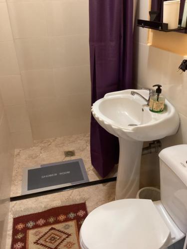 a bathroom with a white sink and a toilet at B&B Villa Maurizio in Tsqaltubo