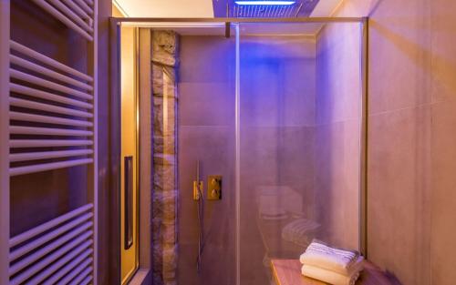 a shower with a glass door in a bathroom at Sarzana-Charming Room Pool and BB in Sarzana