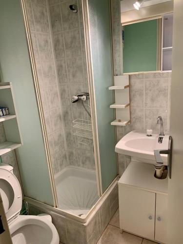 a bathroom with a shower and a toilet and a sink at Studio lumineux - Les Angles in Les Angles
