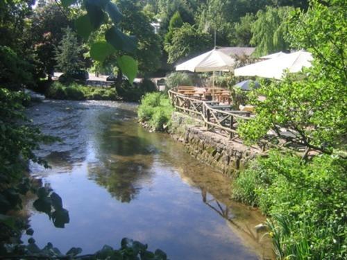 AshspringtonにあるThe Watermans Armsの川の景色を望む