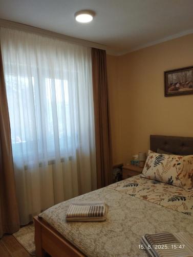 a bedroom with a bed and a large window at Prenoćište Lana 3 in Novi Banovci