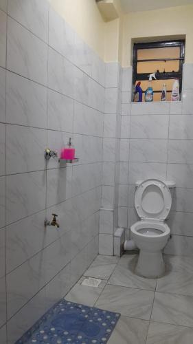 a bathroom with a shower with a toilet and a window at HERIJ Staycation kitengela in Kitengela 