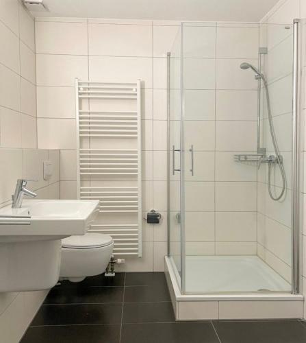 a bathroom with a shower and a toilet and a sink at Veermaster 1 in Breege