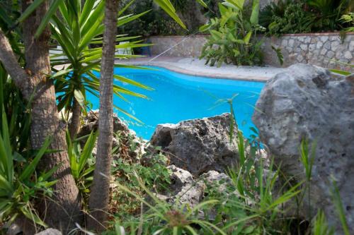 Bazén v ubytování Villa Fortuna - villa 12 posti con piscina nebo v jeho okolí