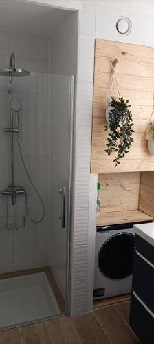 a kitchen with a shower and a microwave at La Cahute des Tamaris in Mimizan-Plage