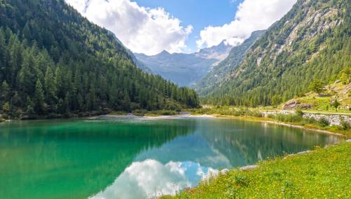 Příroda nedaleko apartmánu