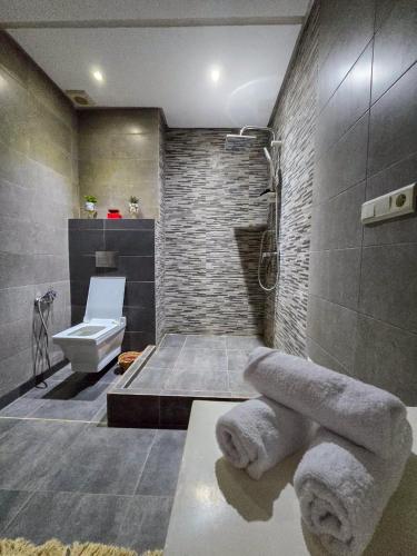 um banheiro com chuveiro, vaso sanitário e pia em Dar Muskana 