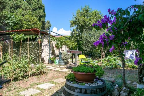 Apartments with parking space Kastel Stafilic, Kastela - 20802