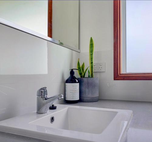 ein Waschbecken im Bad mit einem Spiegel und einer Pflanze in der Unterkunft Falcon Bay Family Retreat in Falcon