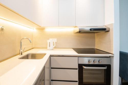 Η κουζίνα ή μικρή κουζίνα στο BW Terra Lux