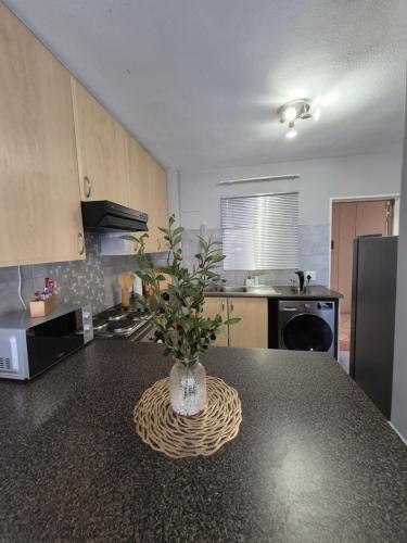 a kitchen with a vase with a plant on a counter at Mlangeni's Rest in Centurion