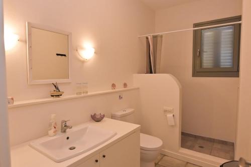 ein Badezimmer mit Waschbecken, Toilette und Spiegel in der Unterkunft Villa Santa Friday in Antikes Epidauros