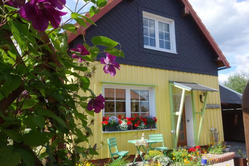 Zahrada ubytování Dorle