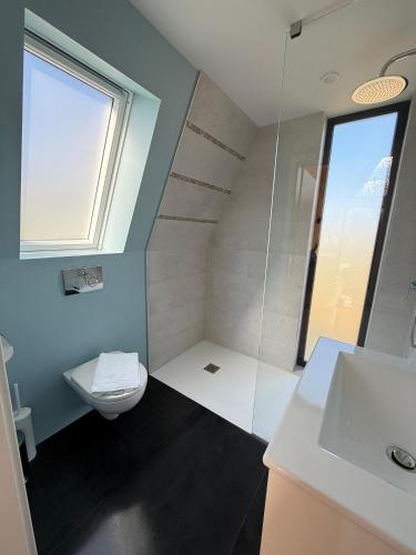 a bathroom with a shower and a toilet and a sink at Vatra Barsei in Tohanu Nou