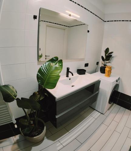 a bathroom with a sink and a mirror and a plant at Chez Nous in Comacchio