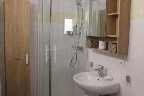 a bathroom with a sink and a glass shower at L'ecureuil de luceram in Lucéram