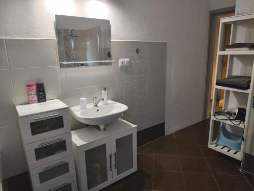 FryšavaにあるApartmán u Fryšávkyの洗面台と鏡のあるバスルーム