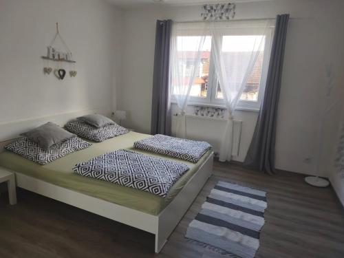 FryšavaにあるApartmán u Fryšávkyのベッドと窓のある寝室