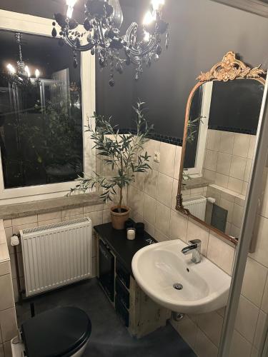 a bathroom with a sink and a toilet and a mirror at Hildes Bett in Aschersleben