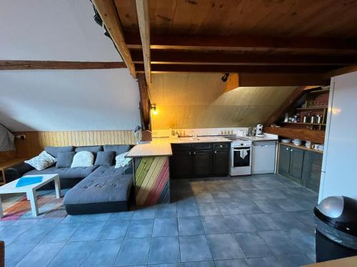 una cucina e un soggiorno con un divano di CHALET ALPINA ad Auris
