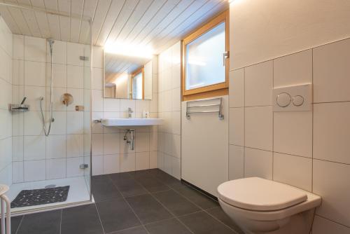 a bathroom with a toilet and a sink and a shower at Ferienwohnung Schleif in Niederwald