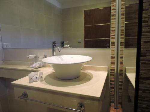 ein Badezimmer mit einem weißen Waschbecken auf der Theke in der Unterkunft Rahuen Hotel/Restaurant in Carpintería