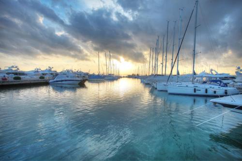a group of boats docked in a marina with the sunset at Boutique Apartments Ad Astra in Bibinje