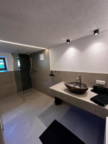 a bathroom with a sink and a shower at Trail & Tiefschnee Lodge in Reith im Alpbachtal