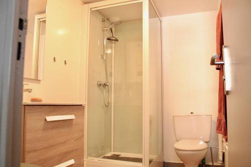 a bathroom with a shower and a toilet at Apartee - Charmant T2 en centre ville de Laval in Laval