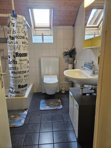 a bathroom with a toilet and a sink at Apartment Dorfstrasse 16 in Leuzigen