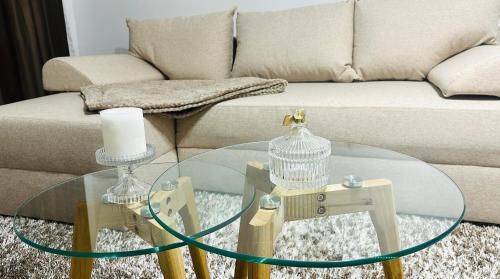 Χώρος καθιστικού στο Old town loft - apartment in the old town Craiova