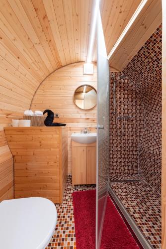 a bathroom with a shower and a sink at Wellnes Hříbek in Dyjákovice